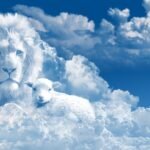 tudo coopera para o bem daqueles que amam a deus