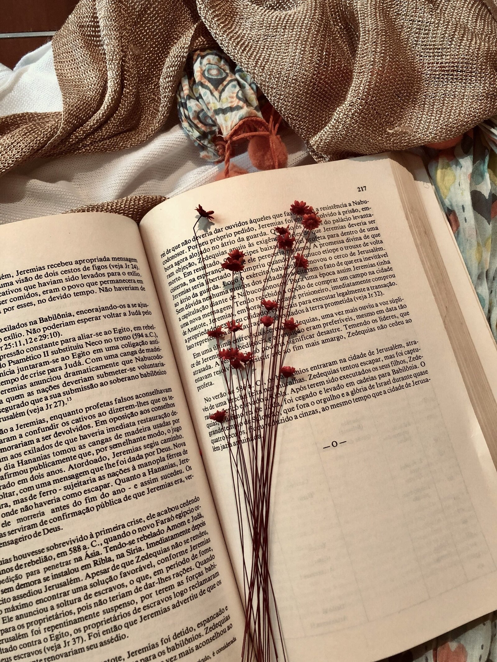 livro cafe com deus pai