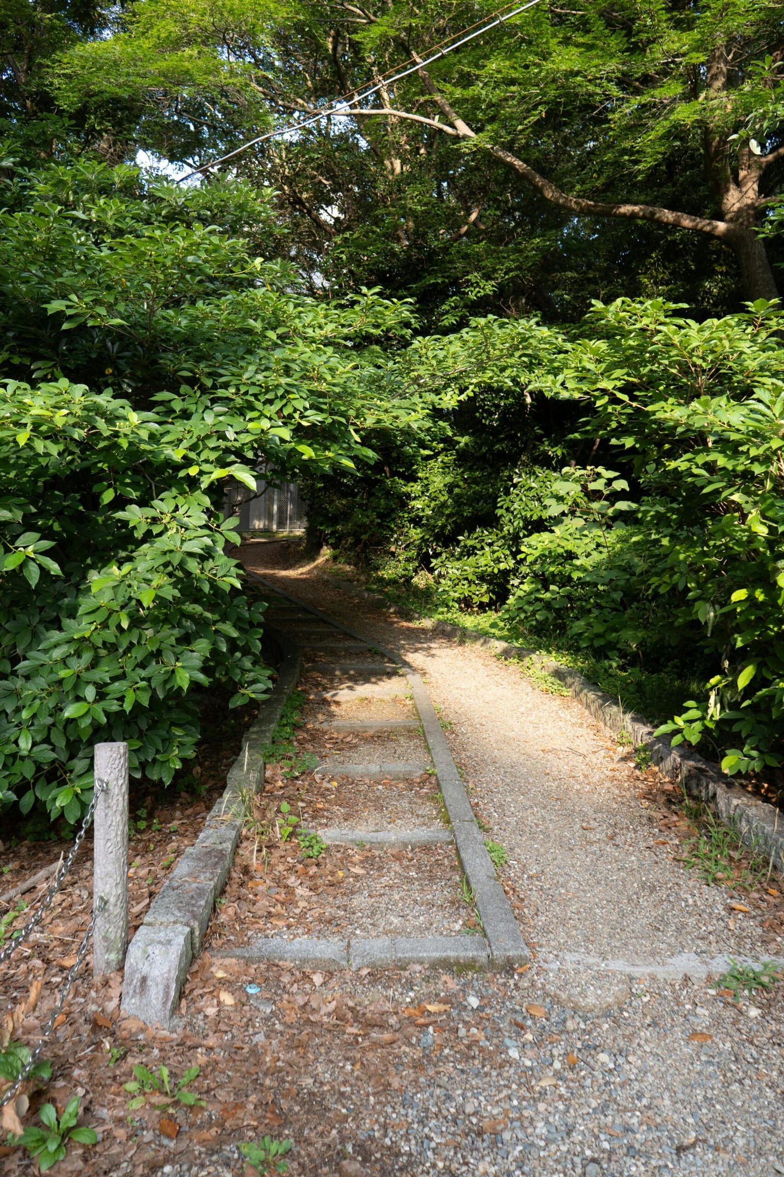 O que parece atraso pode ser plano de Deus
