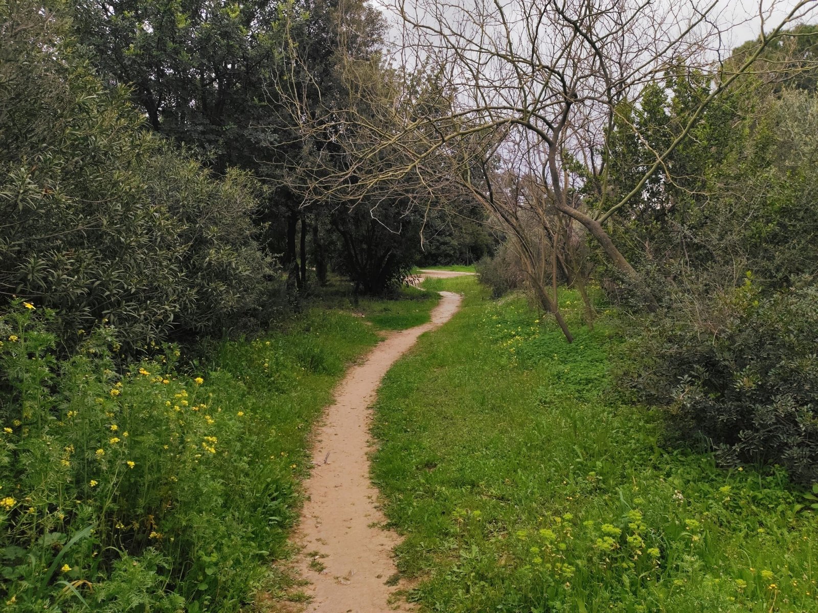 Quando Deus muda seu caminho