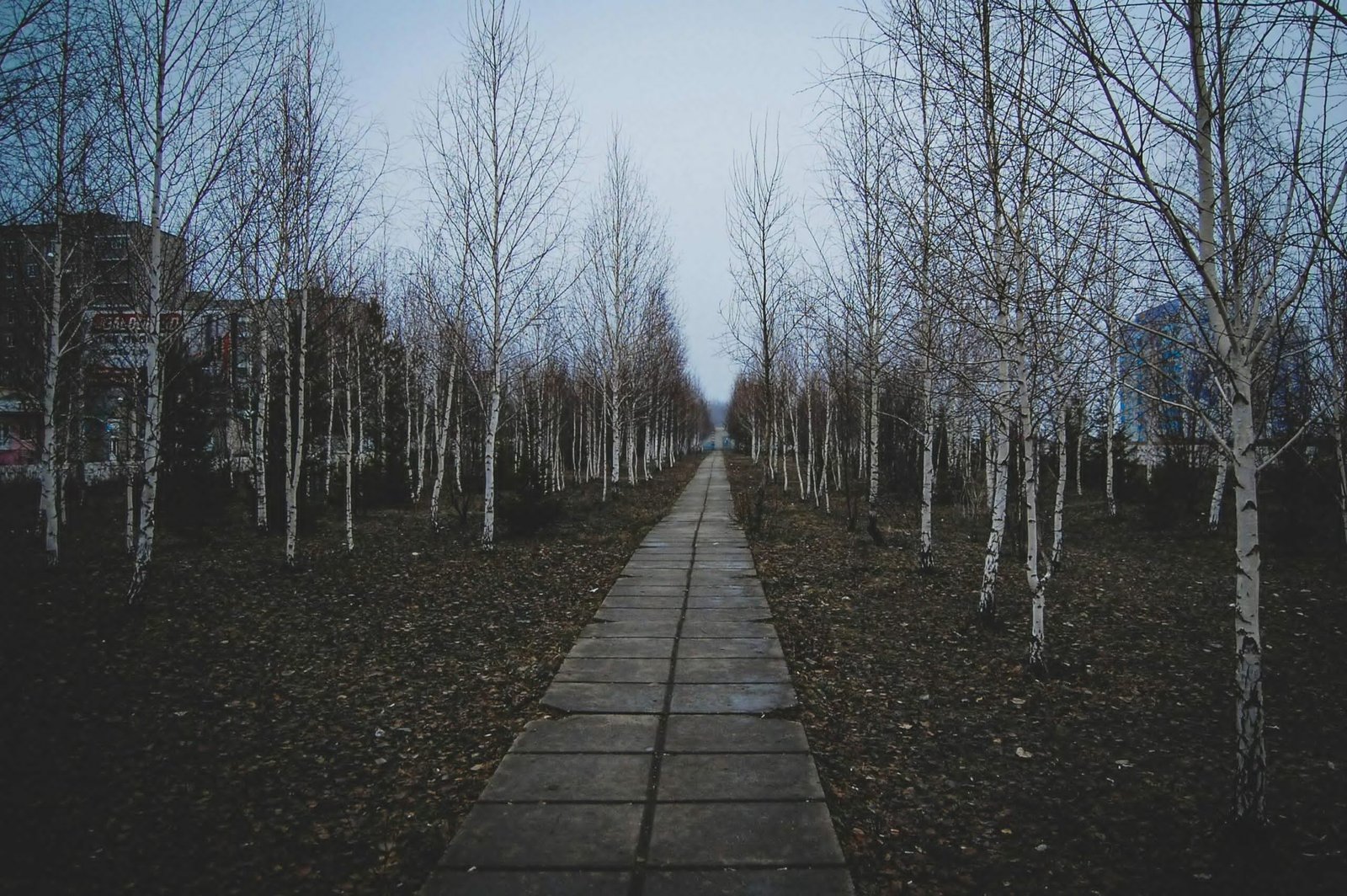 Deus transforma caminhos quebrados em propósito