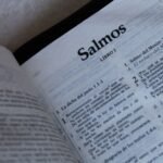 Salmo de Agradecimento Para Celebrar a Vida e o Amor do Pai