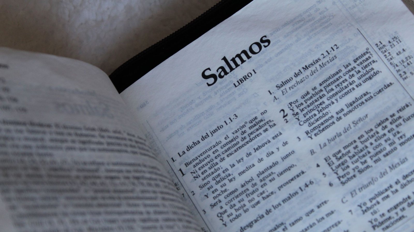 Salmo de Agradecimento Para Celebrar a Vida e o Amor do Pai