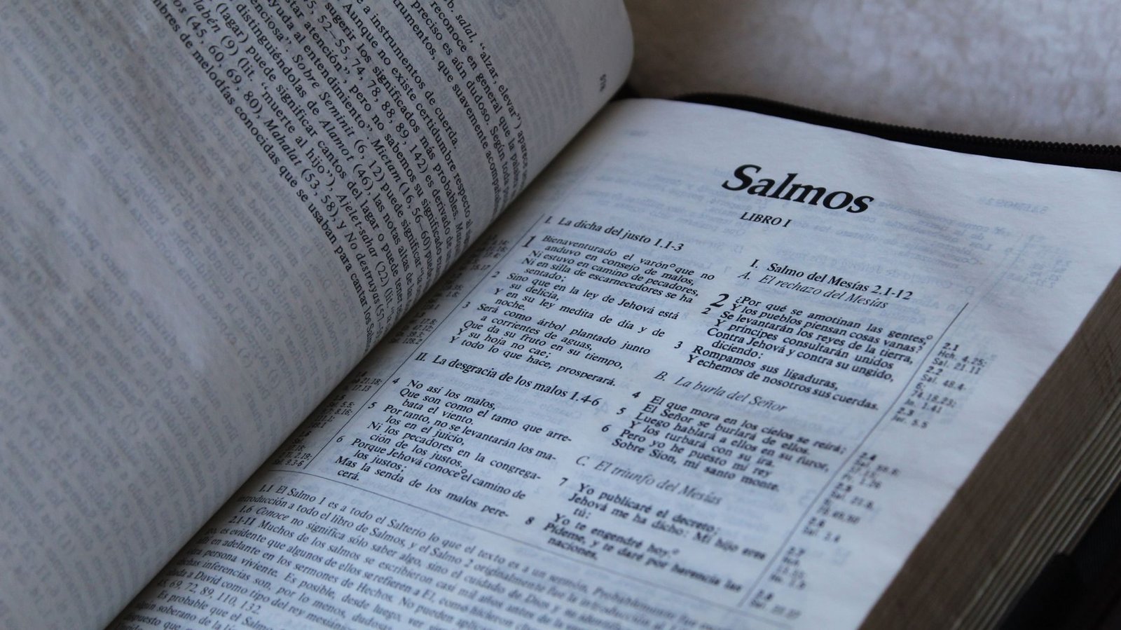 Salmo de Agradecimento Para Reforçar Sua Ligação com Deus